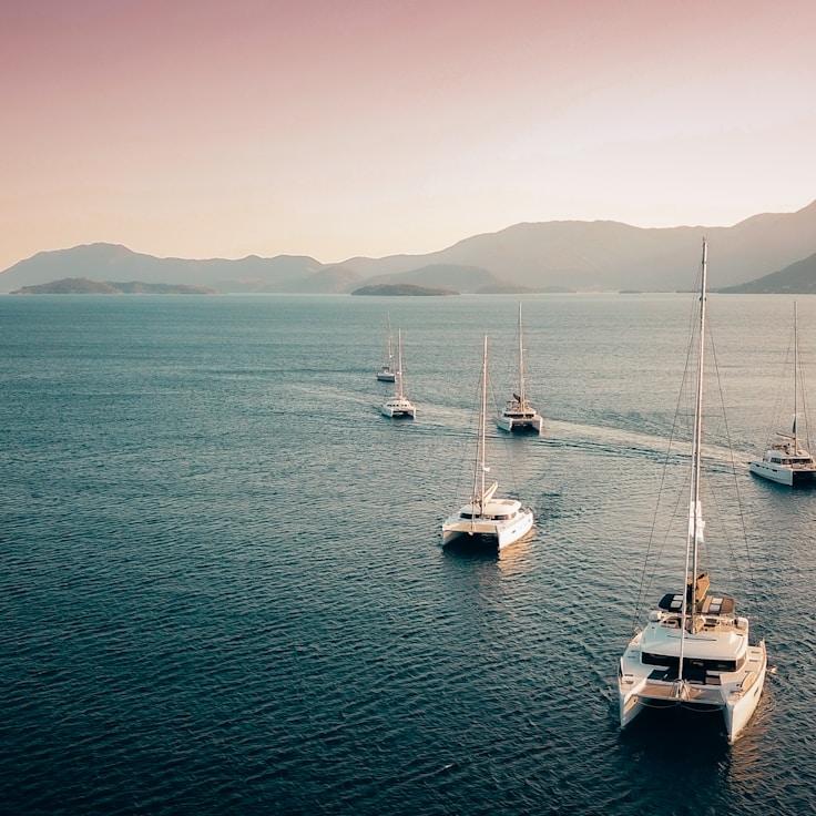 CollectiveAccessBridge yacht fleet